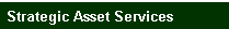 Strategic Asset Services